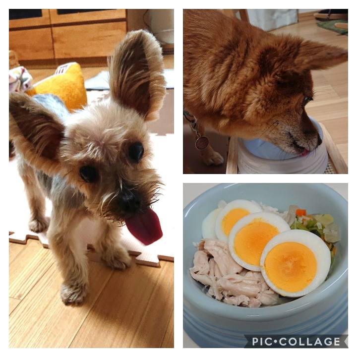 37f96788 7613 4efe a087 12fb1dee8b58 1580040707562