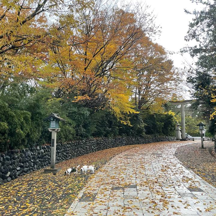 37f97677 b5ea 4106 9f6d 2bcc2fcb0c4b 1764110287377