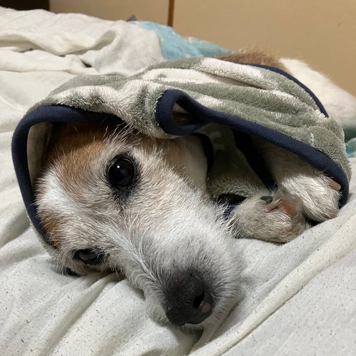 37f9930b 1533 4927 9ac3 6309e0213905 1745631231911