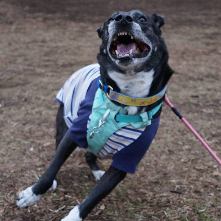 37f9a114 872f 4c4c a3b5 e4e092821877 1770856292800