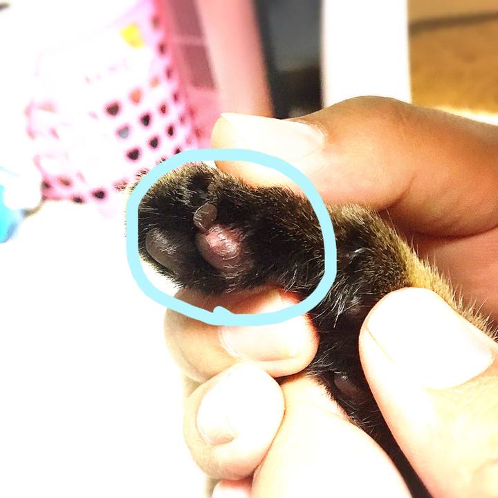 37f9e00c c707 432b 8ee0 1e0dfa9e273c 1540900312595