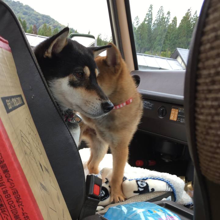 37f9f78f e900 42bf 956f 865db5909a6d 1507997955175