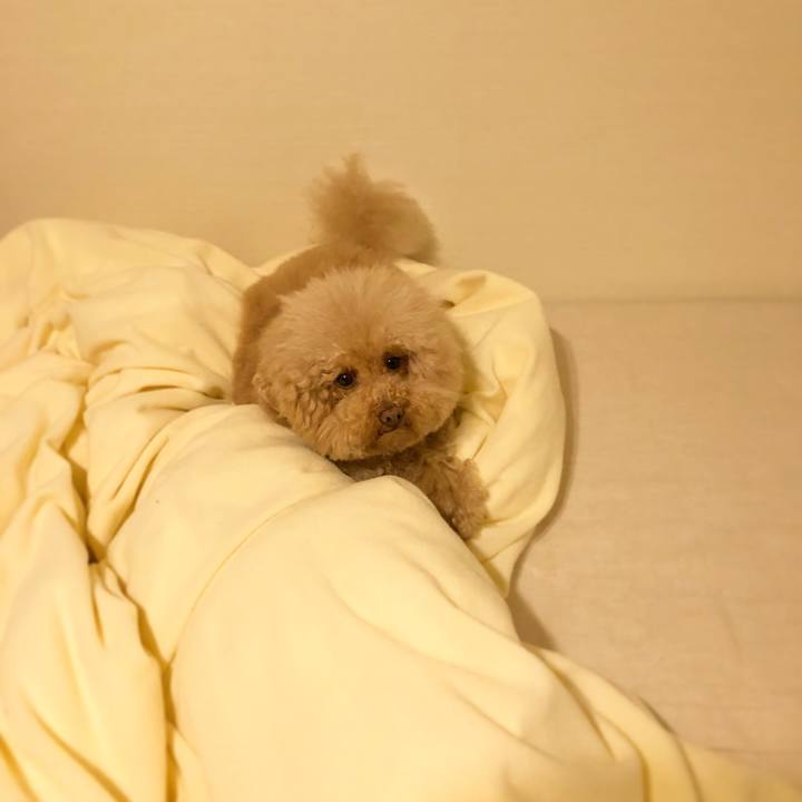 37fa0853 f770 44ef bd9f f6e704b53a50 1525005376298