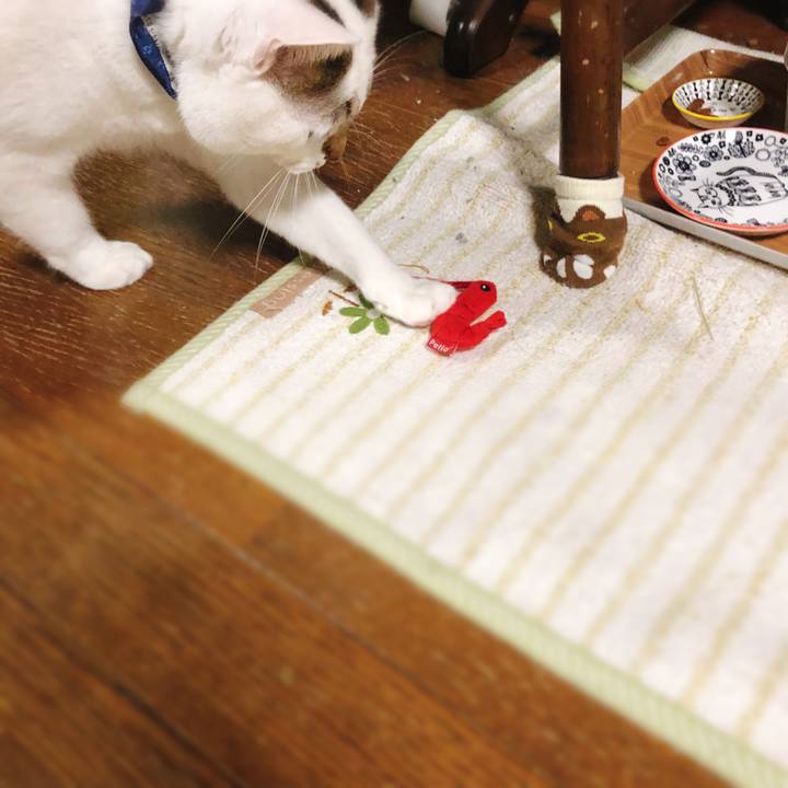 37fa0870 1881 49ec bfd6 bac2e35dcb47 1517582401120