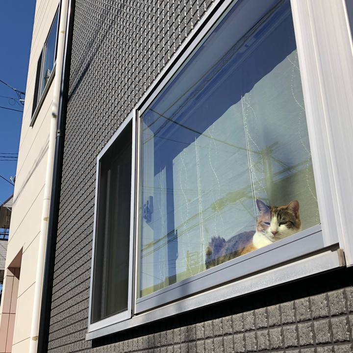 37fa0f10 e54a 469f bb94 1d30dba54d88 1614442292746