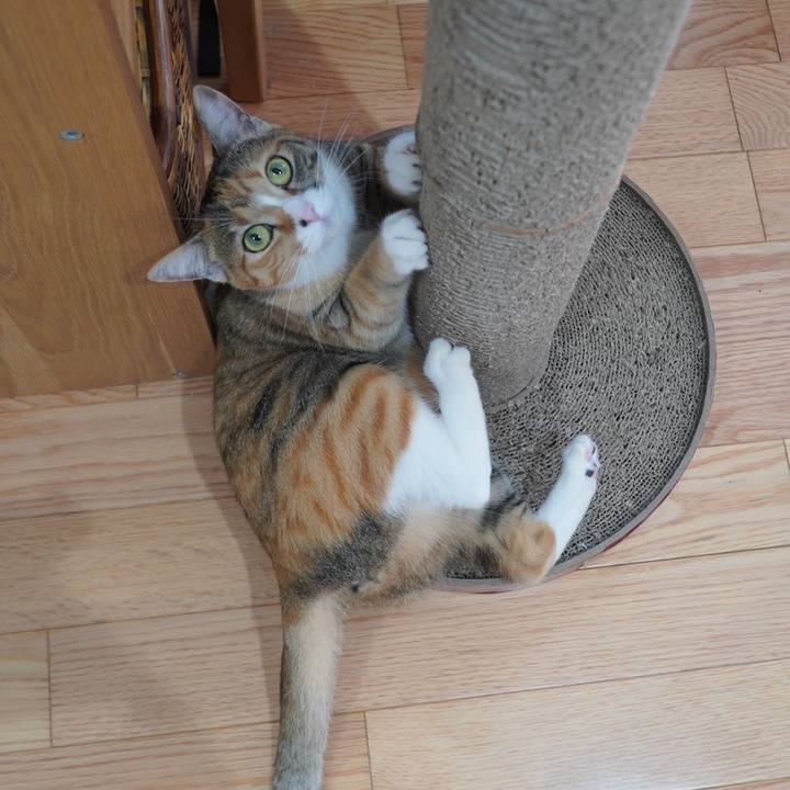 37fa4325 31f5 43d2 a691 eba4738ee0ae 1598703170578