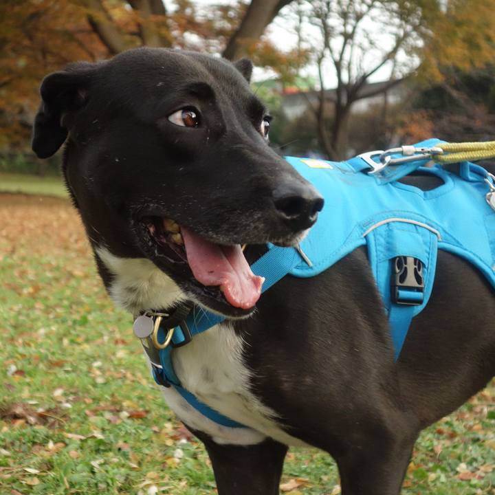 37fa60ef 641d 4cf2 a8d6 22c687cfedb9 1605743667822