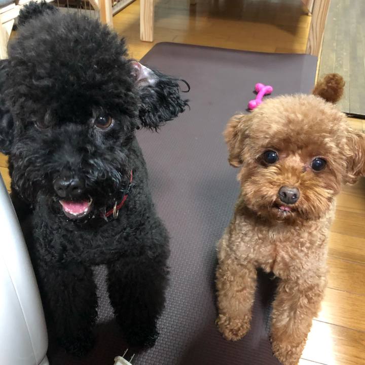 37fa6156 a2fb 4537 8d4c 8c00598f4e90 1571565418824