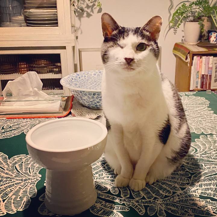 37fa7a21 2cc4 4a80 afb1 08b9e0491f90 1578472681573