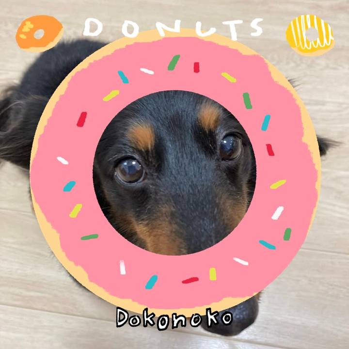 37fa94f2 c39a 4b33 9f89 df8d3480c3d8 1744384185026