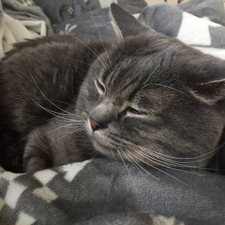 37fafc5a bbe0 4b94 8a52 4d741b3003f0 1539904423908