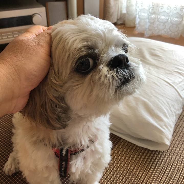 37fb129c d419 455d 8abe 071c86383b36 1597179717586