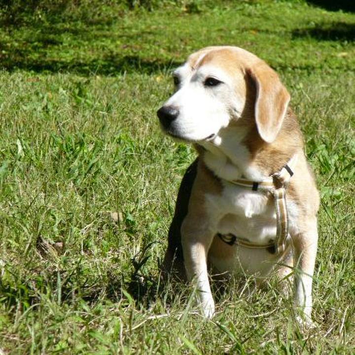 37fb196e a373 491b b6e1 81382a766d11 1655340151733