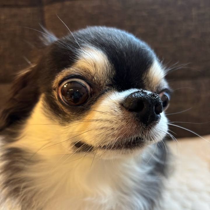 37fb2fae bc56 44f3 b221 86ca721c34b8 1746463475621