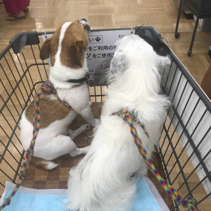 37fb3ed7 efd9 419d a217 c6cb4e192f6e 1535175455723