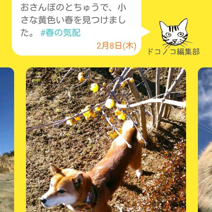 37fb4db4 200a 4953 a2fb 3b72ec64424e 1518059472168