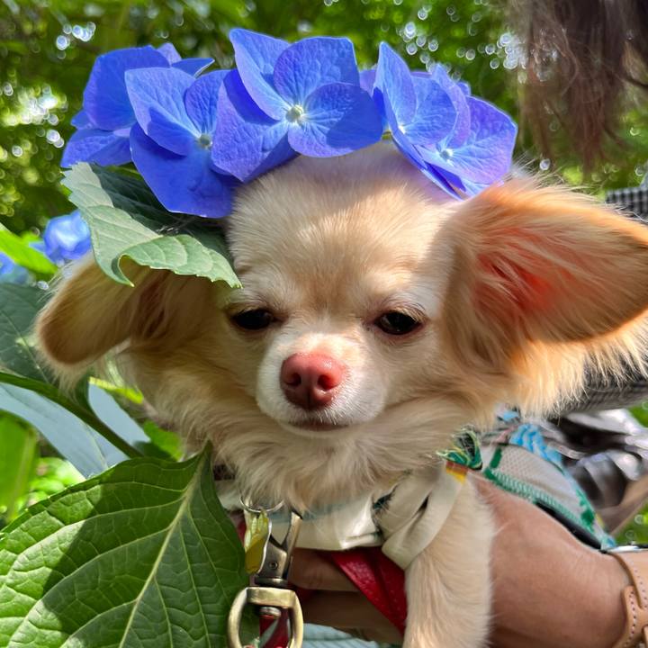 37fb6239 2e11 41df 85ce 5c8ccc43b2c6 1655197563726