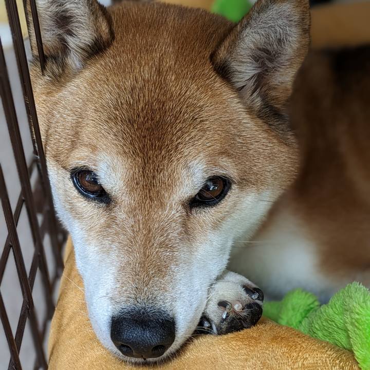 37fb9cd6 c777 4524 b8bb 6eae523ef6c7 1702033424246