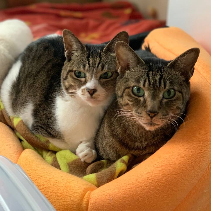 37fb9ec0 fbb2 490e aedb c3f3971d31b2 1577844054595