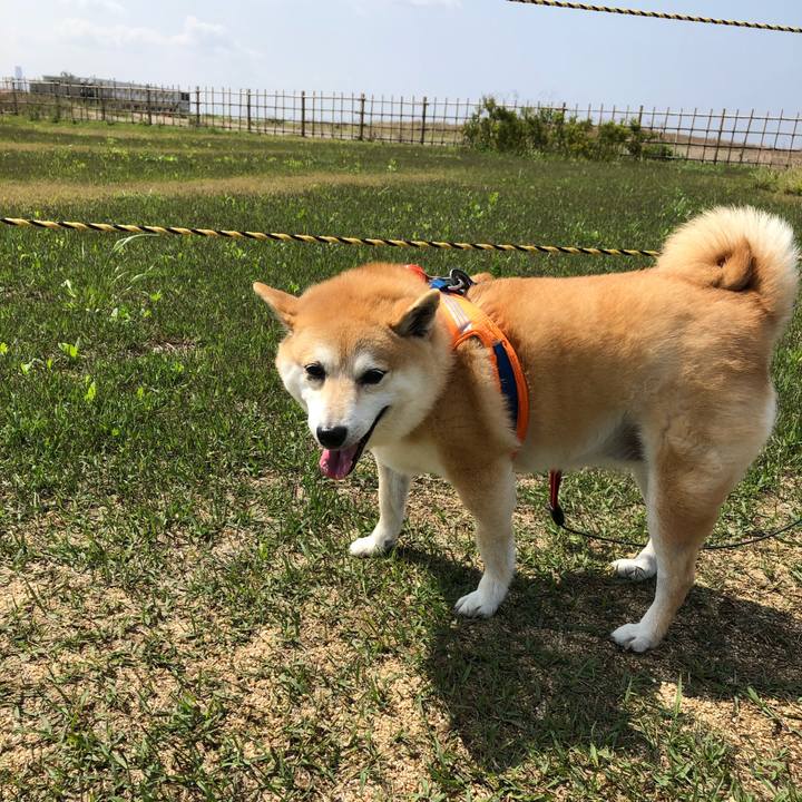 37fbb06a 3038 41a6 9014 9ba857c62e71 1556802925038