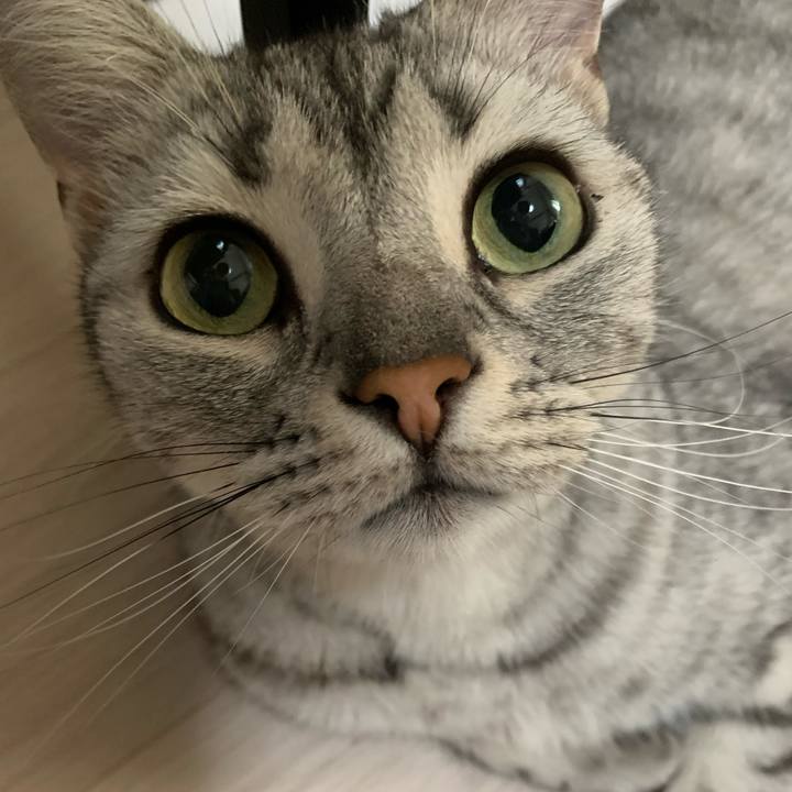 37fbb5fd beeb 4463 9337 ba8b681bc01f 1628115165283