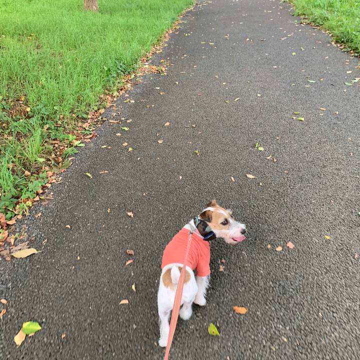 37fbbef2 65af 41d8 a0cc 0acf6066344a 1596795464174