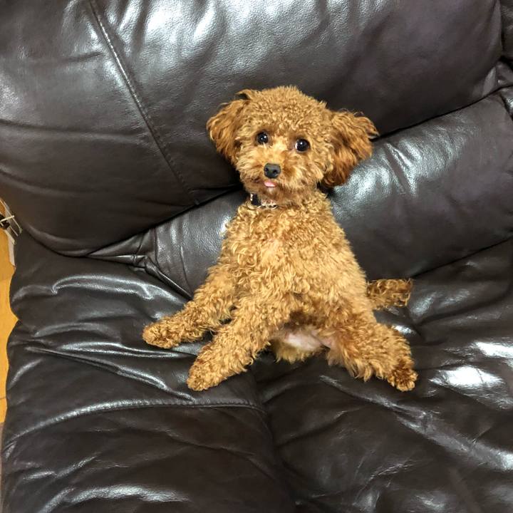 37fbc036 d09e 4d32 b132 4993c4b0f40d 1508546259302