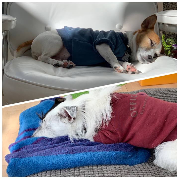 37fbf1d7 0355 429d 95ff eaf40dbb0171 1573005184485