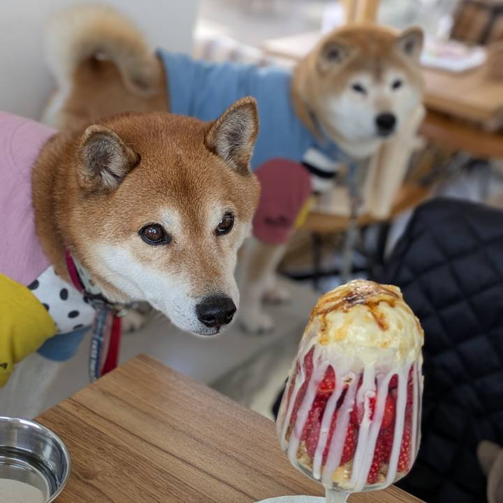 37fc175c df3e 4a74 9415 c004919431d5 1738653871054