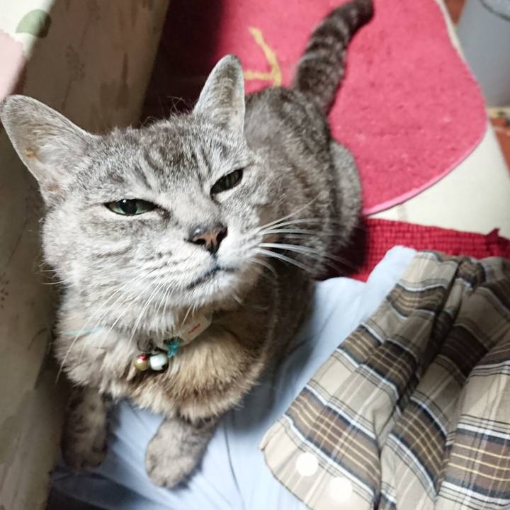 37fc286a 67cb 40c7 bcfa 1995ddeb4a6b 1566763475891