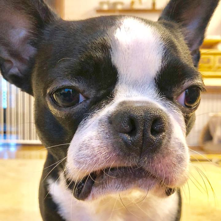 37fc3dd5 8d3a 4f81 bc65 cab22e60174a 1537484661166