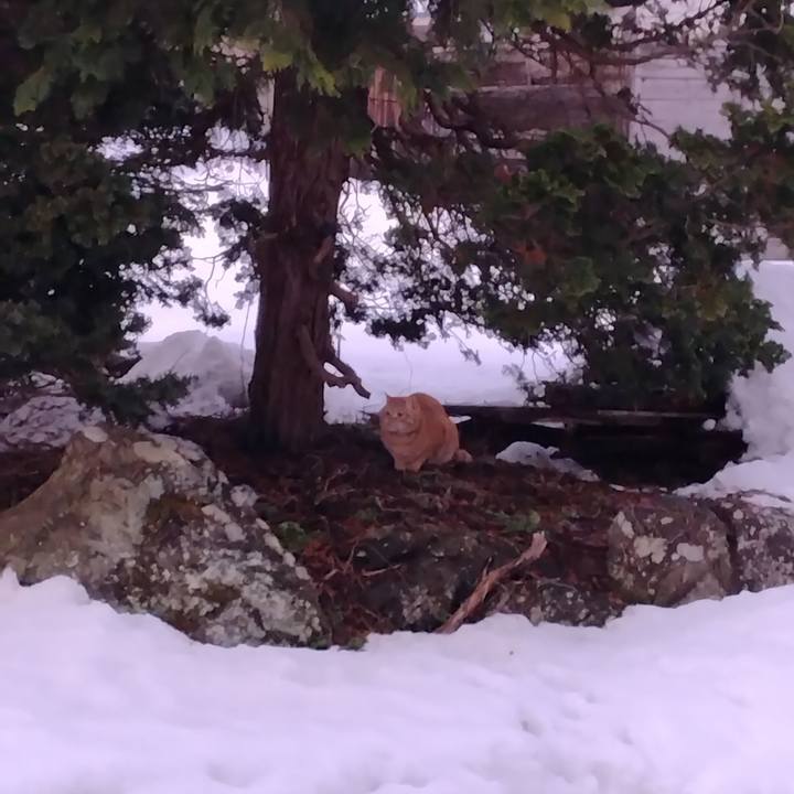 37fc4bed 177a 47de 80e5 5734f1eb54d0 1672442271458