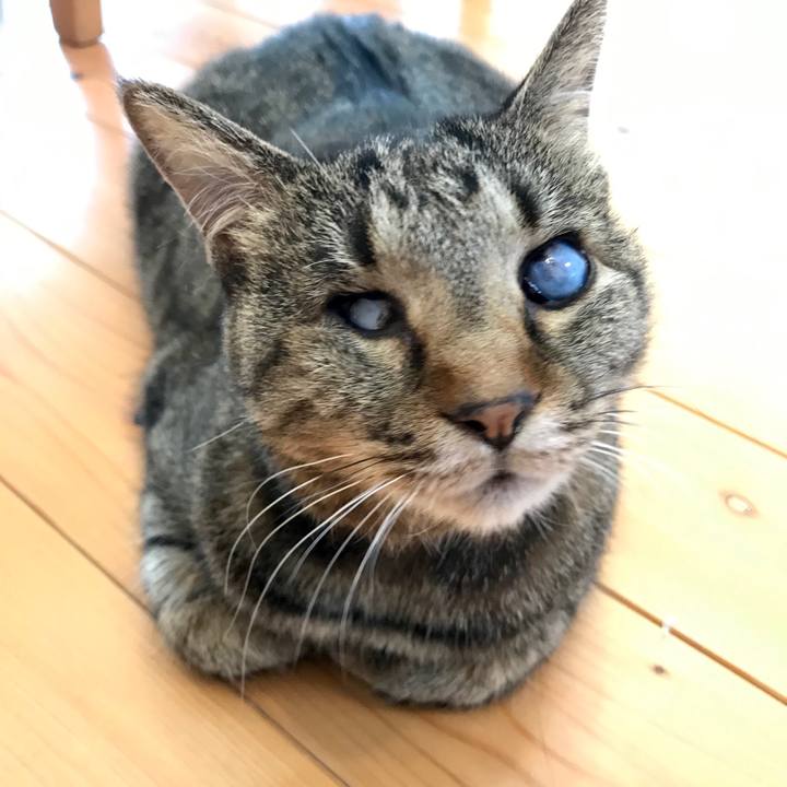 37fc4c23 51eb 4414 807e 05738d6ed64c 1581500670930