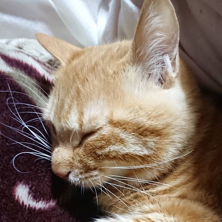 37fc909f f833 40e3 86a4 63cb56e34e4f 1638362596086