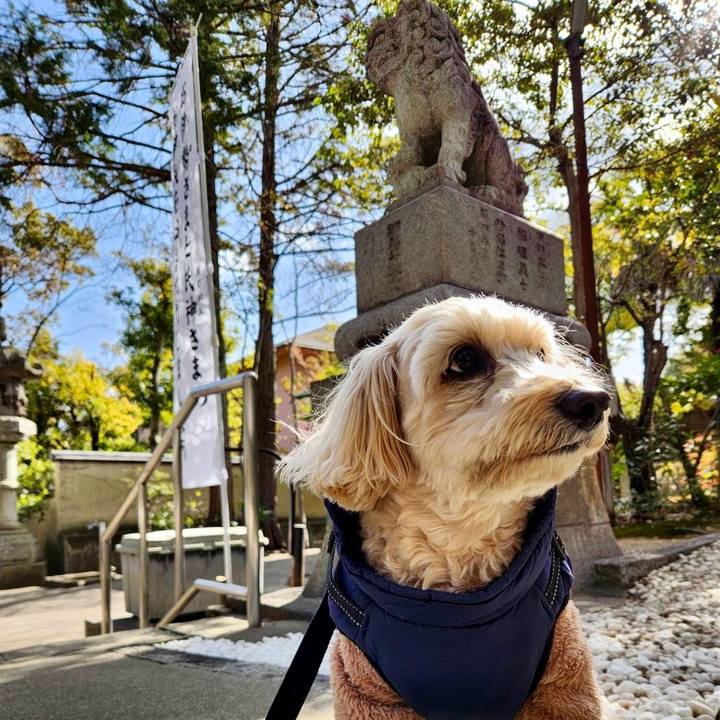 37fcac6c 2895 4213 b2d8 9f93f2048129 1769401829573