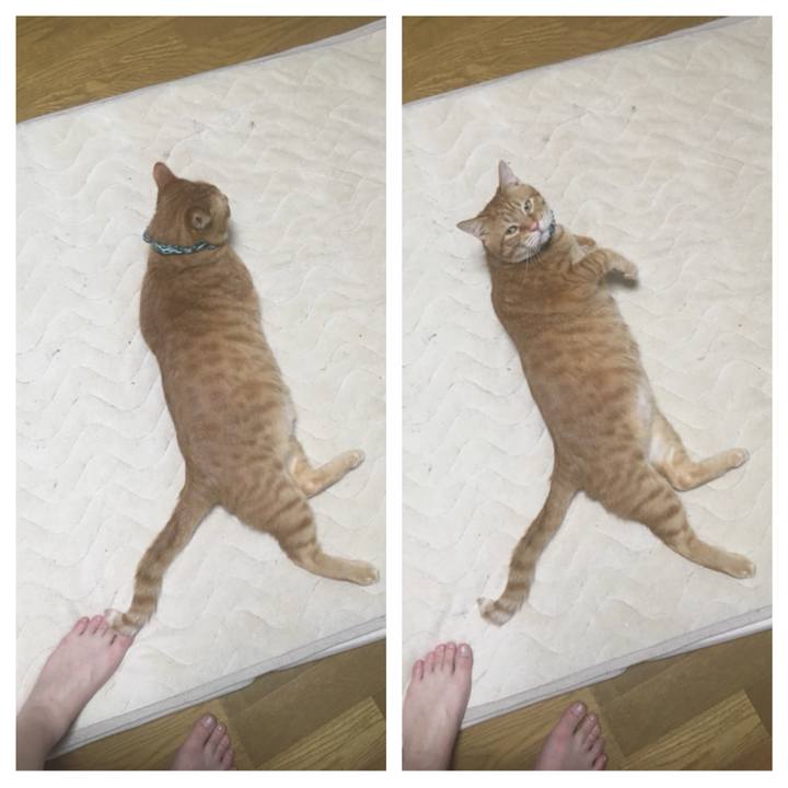 37fcd094 7da6 40e6 9677 aeb5089f546e 1548673982478