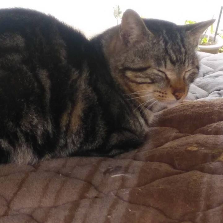 37fcd1fd 535f 420e b263 34e1eb43b64c 1585269033632