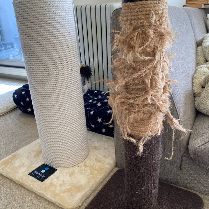 37fd2968 ef5a 4ee0 aa35 39623964b571 1612857983789