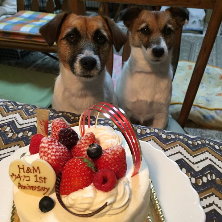 37fd5be2 2050 4703 ad89 c9d48022ba29 1521389008256