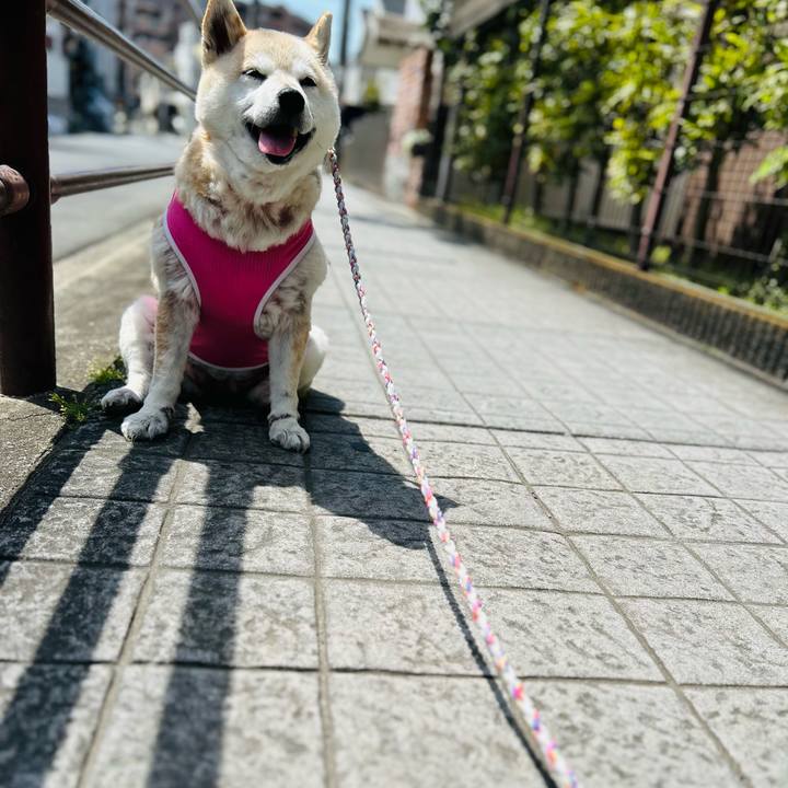 37fd5c06 c9b9 42e0 905b a745e308a173 1746072608305