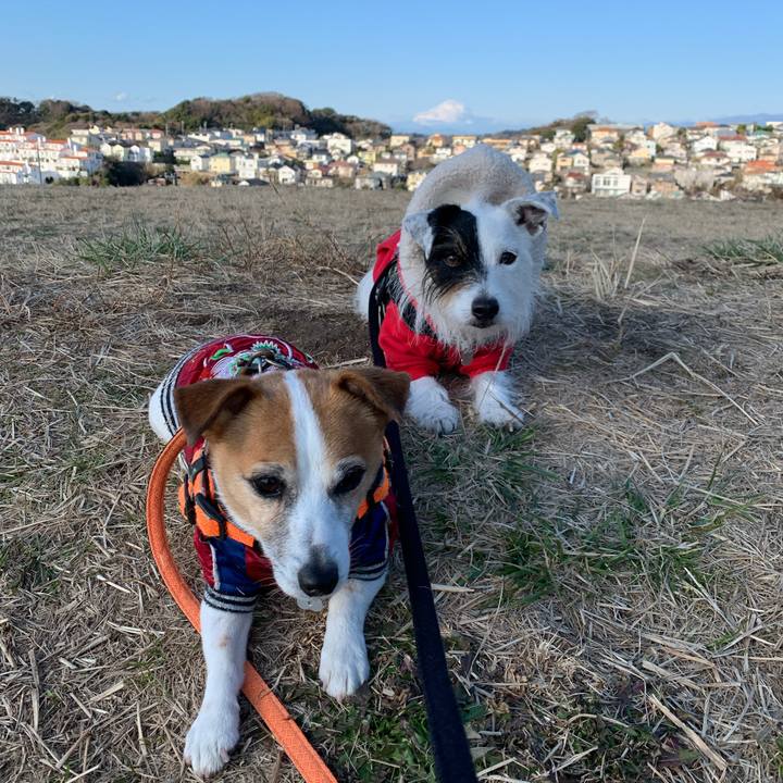 37fd6a60 beb8 4660 bc26 82e052564536 1642036188424