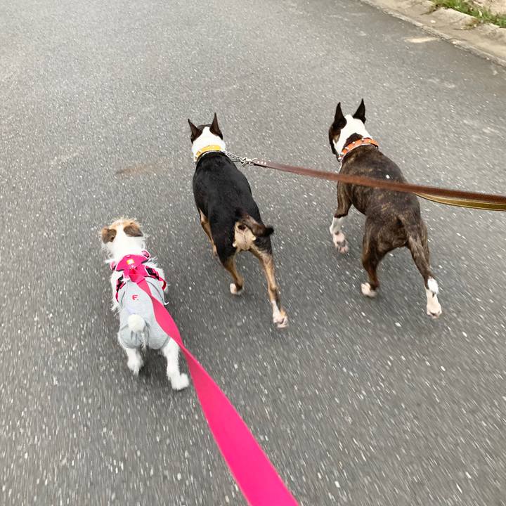 37fd7147 8452 4403 9118 90da36f0a225 1569151604550