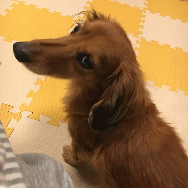 37fdb03f 5e7c 46f8 aced ad65962f5fd8 1516359872917