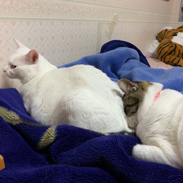 37fdcafa 51fd 4cf8 8c58 7e8999d6aa24 1572520264202