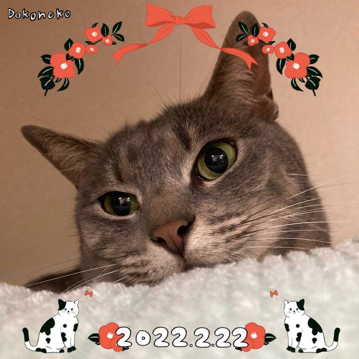 37fdd964 6342 4beb b820 cd4884c36e48 1645534027241