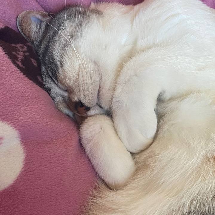 37fe1529 1932 48b0 8297 d67046e858d2 1587255892909