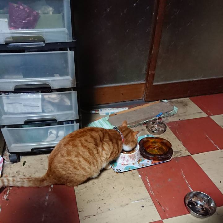 37fe1f9b 907b 4604 8f8f cb30679f2b4b 1576269888263