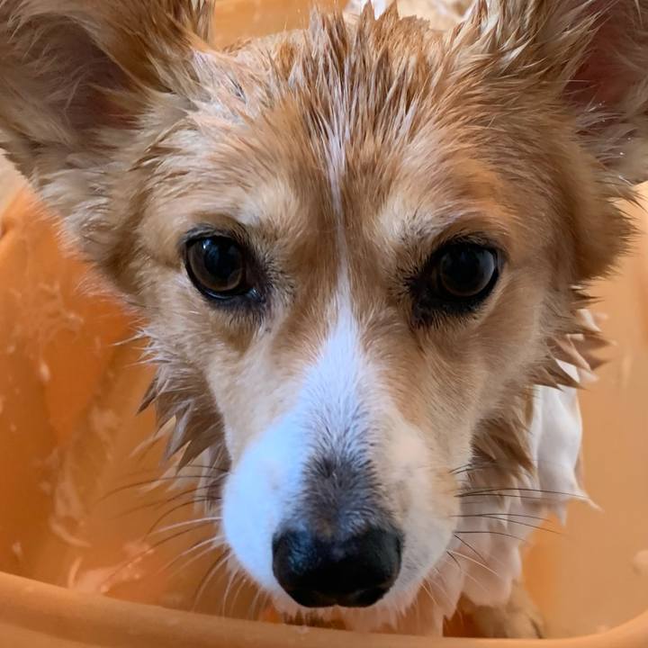 37fe2908 de2f 4807 8f3c 604c49ade713 1608959551736