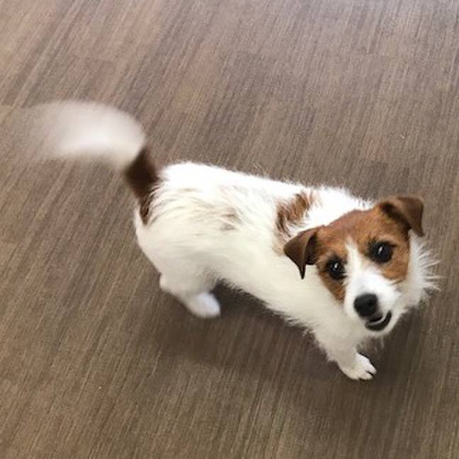 37fe3381 e31c 4de3 bb4b 563ff5c70c1b 1517583856241