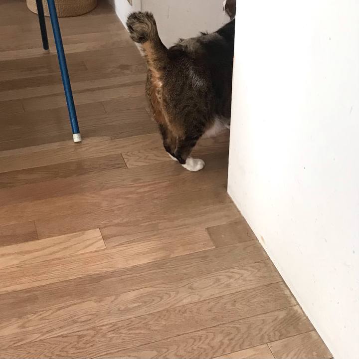 37fe3470 fbd5 44b2 ba85 46268d0a5b17 1616213165670